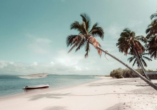 redcharlie-aexdWGJu7Gs-unsplash